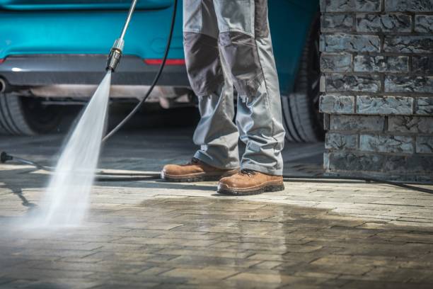 Best Driveway Pressure Washing  in White Cloud, MI