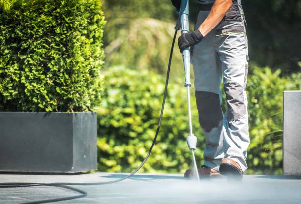 Best Roof Washing  in White Cloud, MI